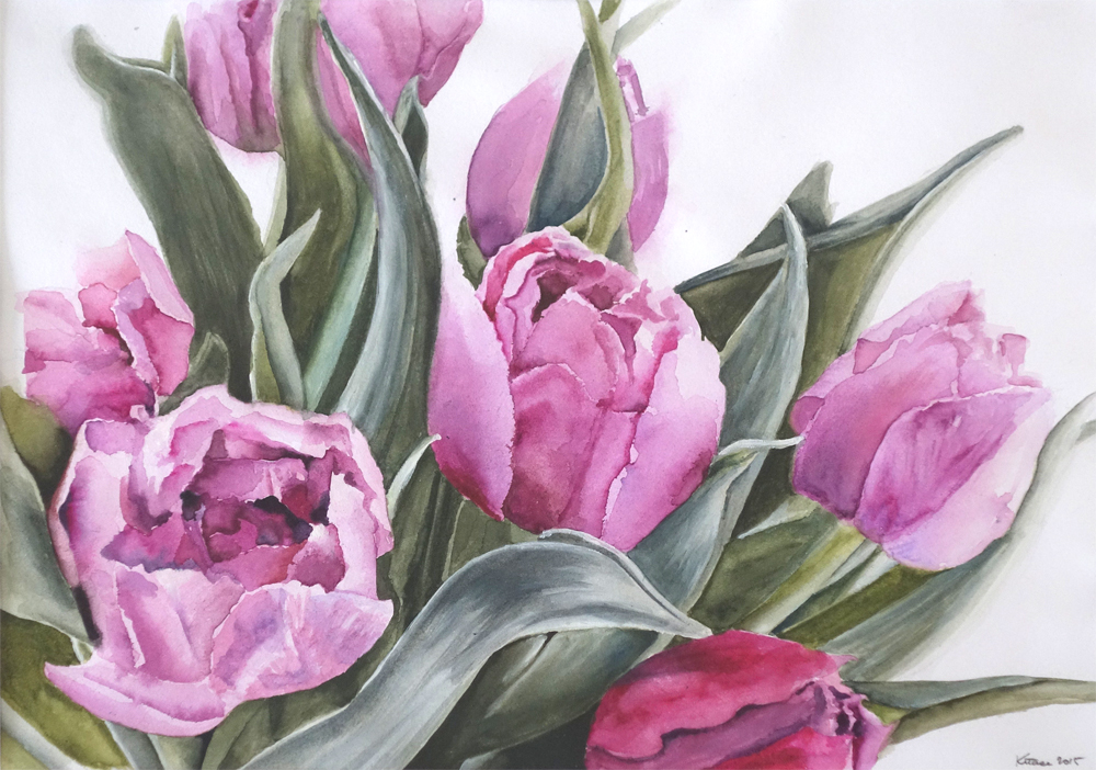akvarel tulipány